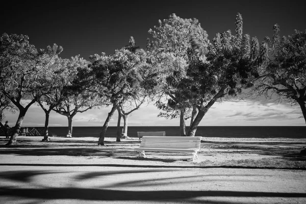 Fotografía infrarroja en blanco y negro — Foto de Stock