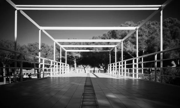 Fotografía infrarroja en blanco y negro —  Fotos de Stock