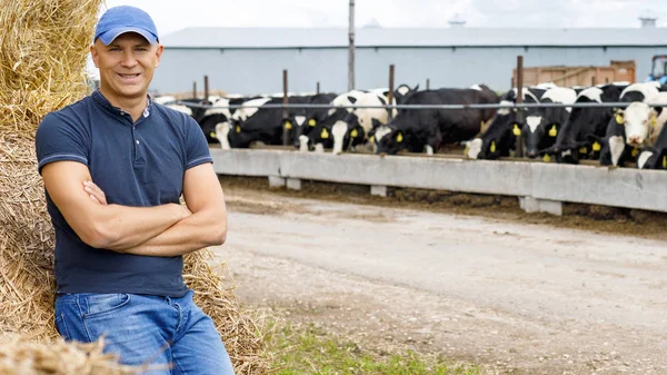 Agricultor que trabalha na fazenda com vacas leiteiras — Fotografia de Stock