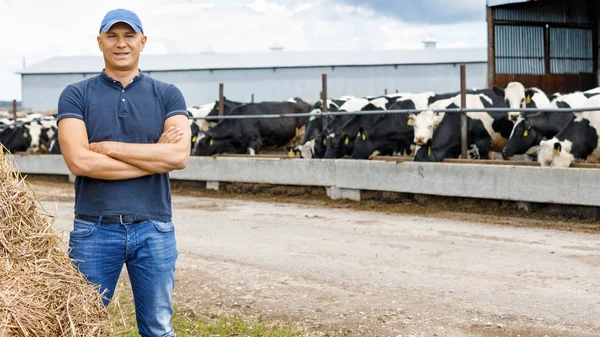 Jordbrukare som arbetar på gård med mjölkkor — Stockfoto