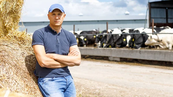 Agricultor trabajando en granja con vacas lecheras — Foto de Stock