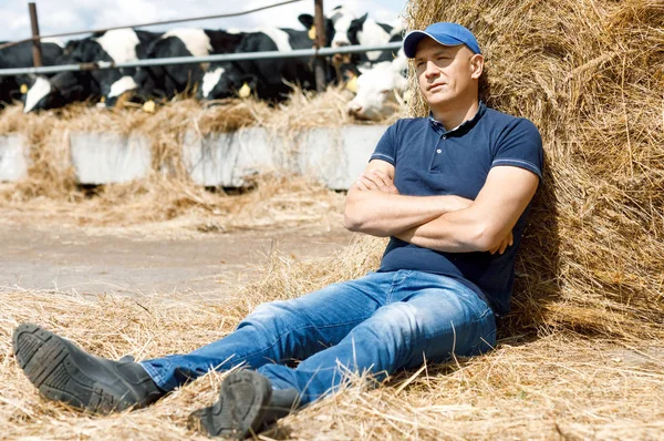 Fáradt gazda nyaralni egy gazdaságban a tehenek között ülve a földön — Stock Fotó