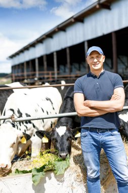 Çiftçi süt ineklerin ile çiftlikte çalışma