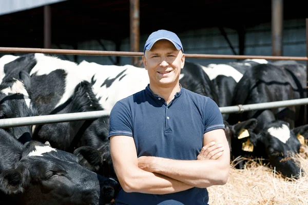 Glad bonde omgiven av kor på gården — Stockfoto