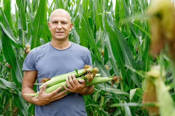 Hombre con cultivo de maíz en el campo — Foto de Stock