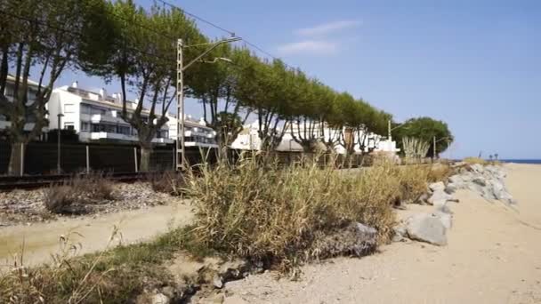 Strand bij Clear Day — Stockvideo