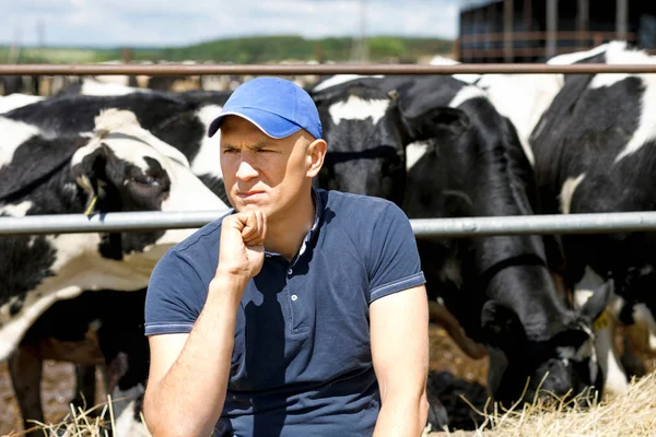 Granjero en granja con vaca lechera — Foto de Stock