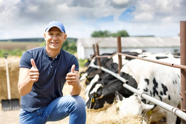 Фермер на фермі з молочною коровою — стокове фото