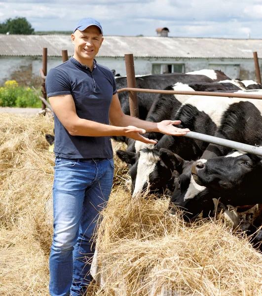 Фермер на ферме с молочной коровой — стоковое фото