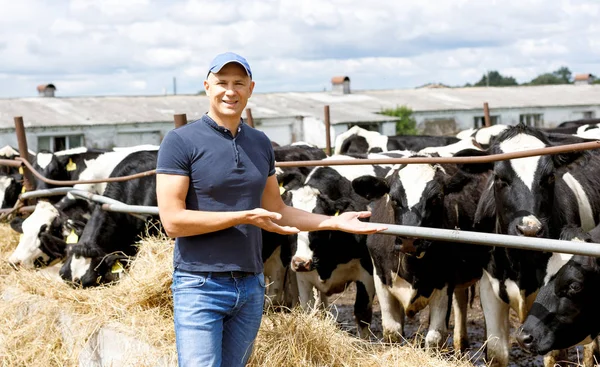 Mezőgazdasági termelő a gazdaságban tejelő tehénnel — Stock Fotó