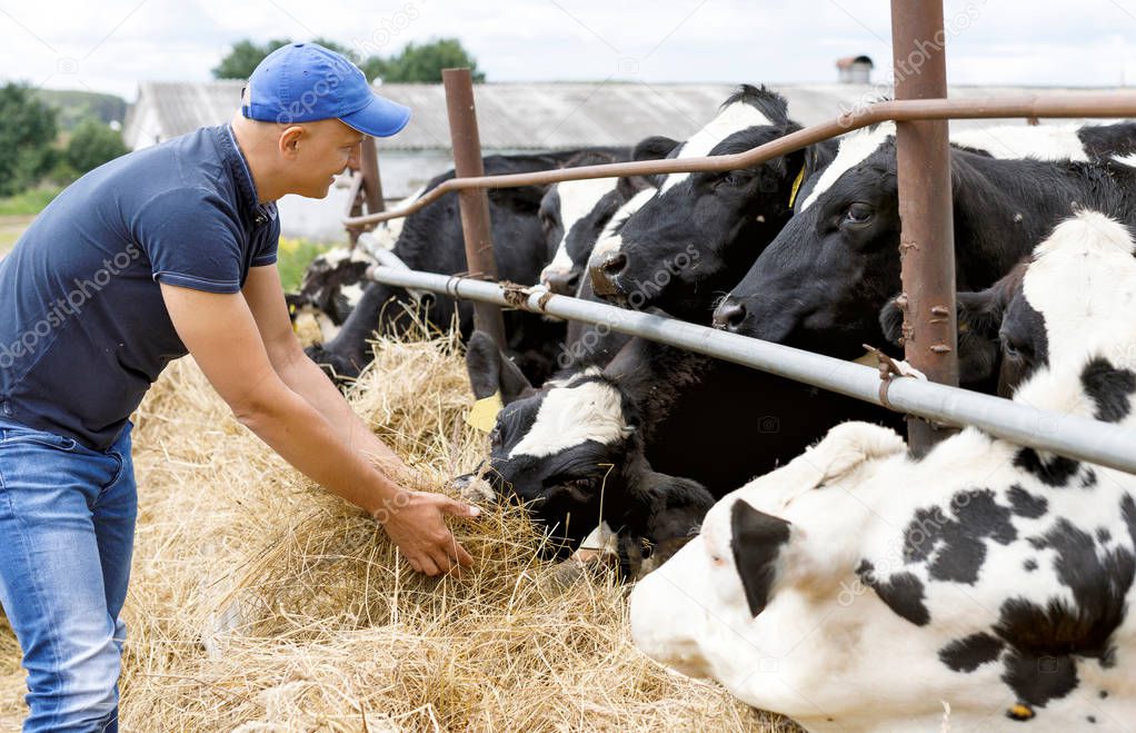 farmer at farm with dairy cow