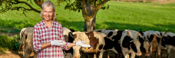 woman on rural farm with dairy cow.