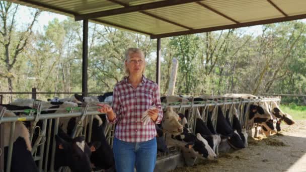 Vrouw op het platteland boerderij met melkkoe. — Stockvideo