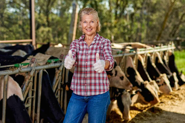 Kvinna på lantgård med mjölkko. — Stockfoto