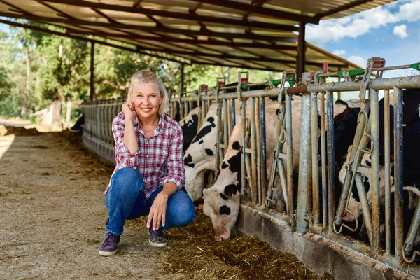 Mulher na fazenda rural com vaca leiteira. — Fotografia de Stock