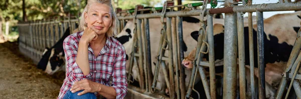 Mulher na fazenda rural com vaca leiteira. — Fotografia de Stock