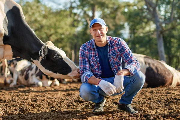 Ευτυχισμένος αρσενικός αγρότης σε φάρμα αγελάδων γύρω από κοπάδι . — Φωτογραφία Αρχείου