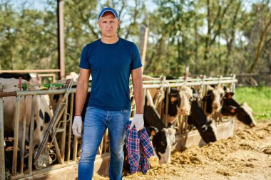 Çiftçi çiftlikte ineklerle çalışıyor..