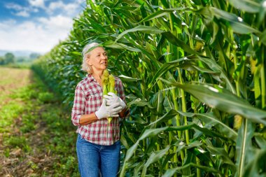 Darı mahsulü olan kadın çiftçi