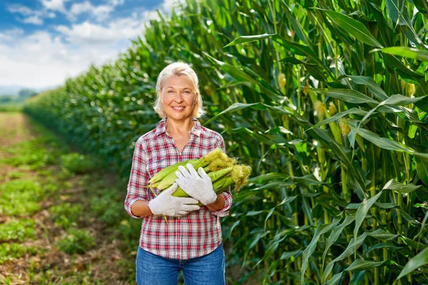 Mulher agricultora com uma cultura de milho — Fotografia de Stock