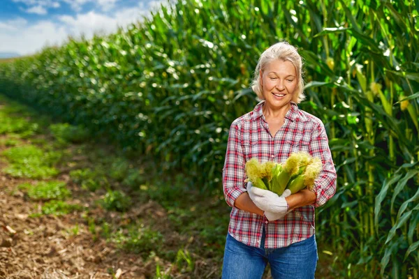 Vrouw boer met een oogst van maïs — Stockfoto