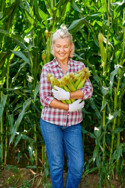 Kvinnlig bonde med majsgröda — Stockfoto