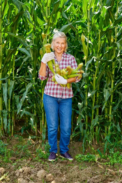 옥수수를 심고 농사를 짓는 여자 — 스톡 사진