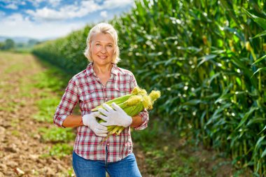 Darı mahsulü olan kadın çiftçi