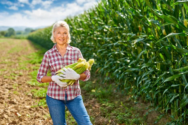 Mulher agricultora com uma cultura de milho — Fotografia de Stock