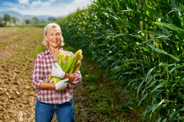 Női farmer kukoricaterméssel — Stock Fotó