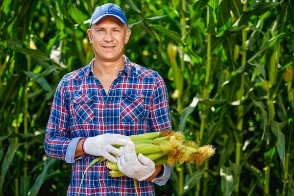 Hombre agricultor con un cultivo de maíz — Foto de Stock