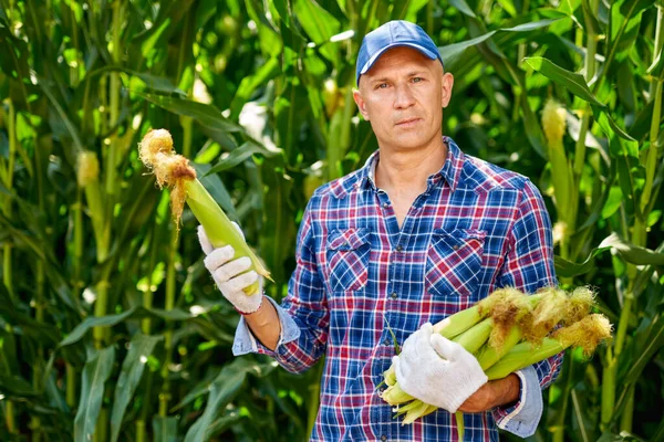 Jordbrukare med majsgröda — Stockfoto