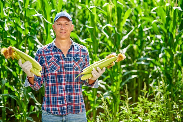 Hombre agricultor con una cosecha de maíz — Foto de Stock