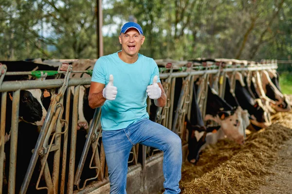 Щаслива людина фермер працює на фермі з молочними коровами . — стокове фото