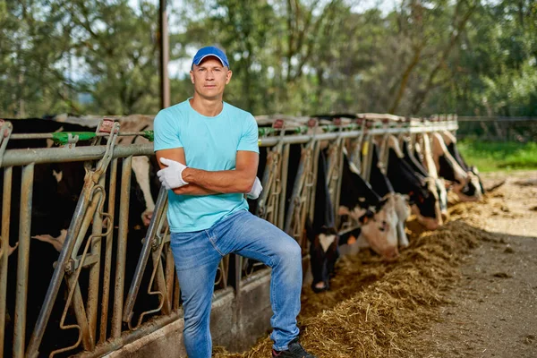 Hombre agricultor está trabajando en granja con vacas lecheras. — Foto de Stock