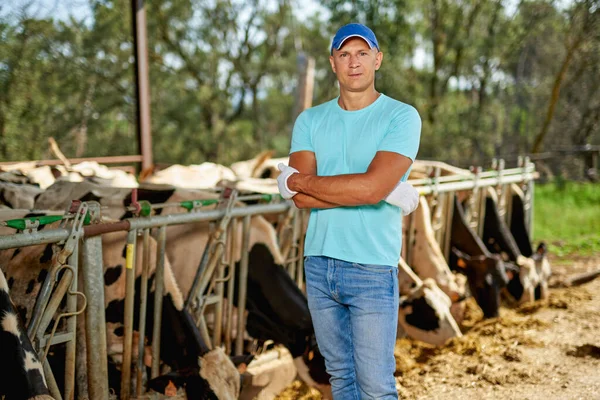 Agricultor está trabalhando na fazenda com vacas — Fotografia de Stock