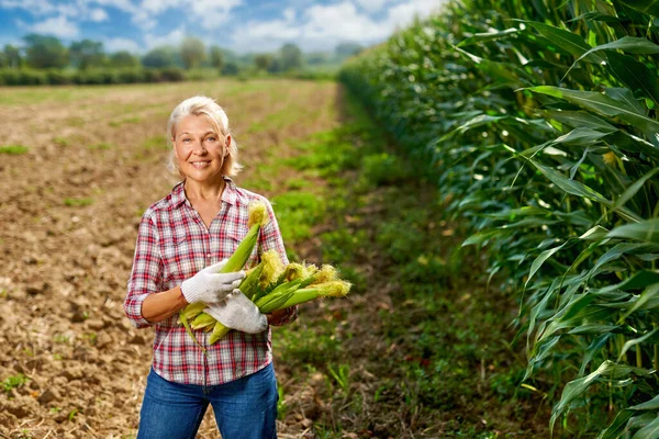 Női farmer kukoricaterméssel — Stock Fotó