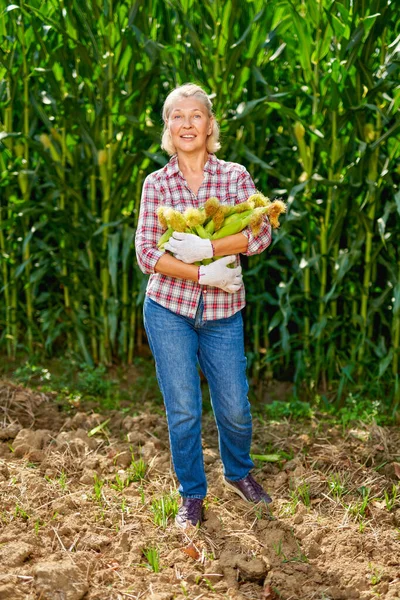 Kvinnlig bonde med majsgröda — Stockfoto