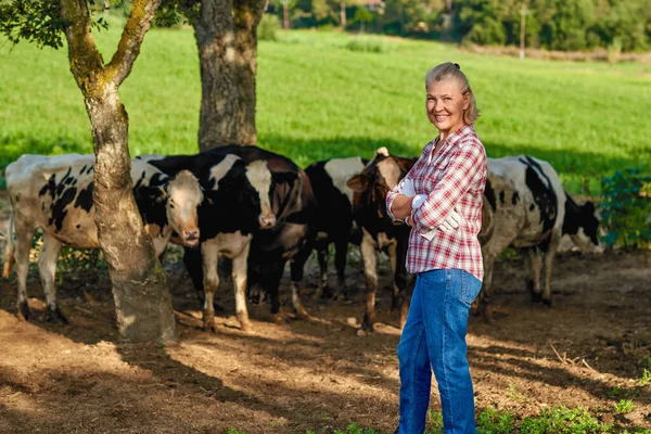 Mulher agricultor está trabalhando na fazenda com vacas leiteiras — Fotografia de Stock