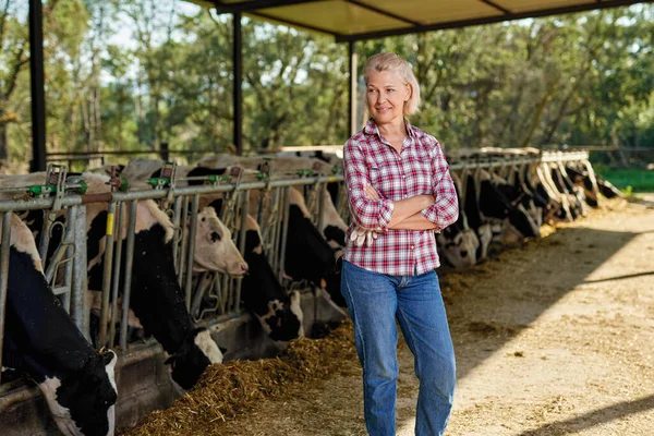 Egy farmer nő tejelő tehenekkel dolgozik a farmon. — Stock Fotó