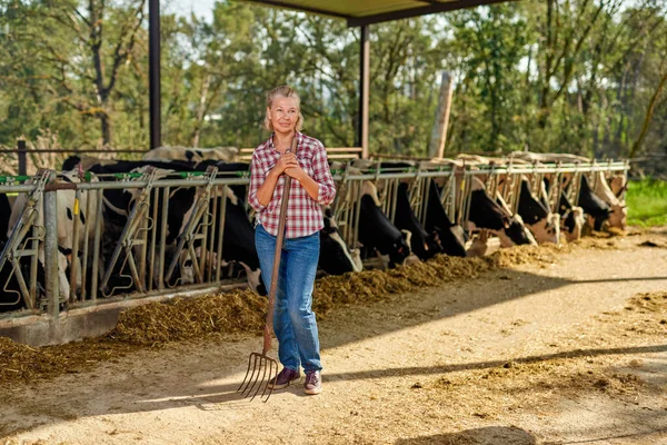 Mulher agricultor está trabalhando na fazenda com vacas leiteiras — Fotografia de Stock