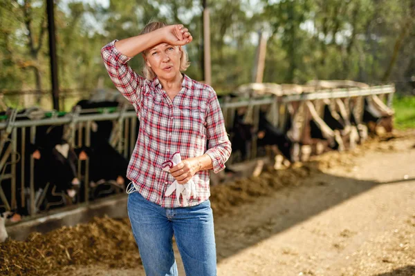 Farmářka rančer drží hlavu má problémy na farmě s dojnicemi — Stock fotografie