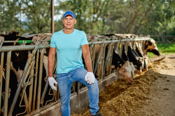 A férfi farmer tejelő tehenekkel dolgozik a farmon.. — Stock Fotó