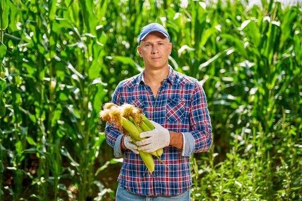 Hombre agricultor con una cosecha de maíz — Foto de Stock