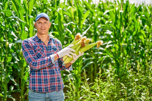 Hombre agricultor con una cosecha de maíz — Foto de Stock