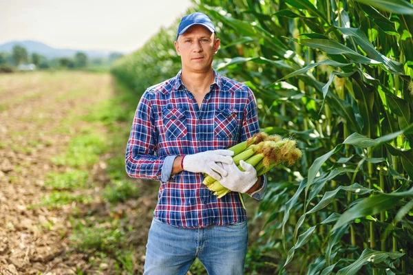 Hombre agricultor con un cultivo de maíz — Foto de Stock