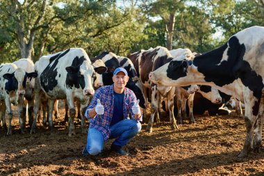 Çiftçi çiftlikte ineklerle çalışıyor..
