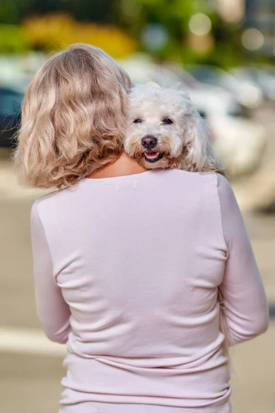 Cão Branco Ombro Uma Mulher — Fotografia de Stock