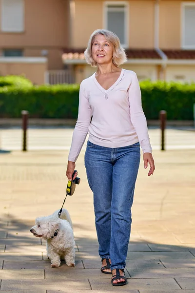 Mulher Idosa Andando Com Cão Livre — Fotografia de Stock