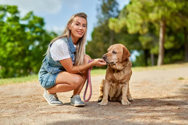 Retrato Uma Mulher Com Cão Parque — Fotografia de Stock